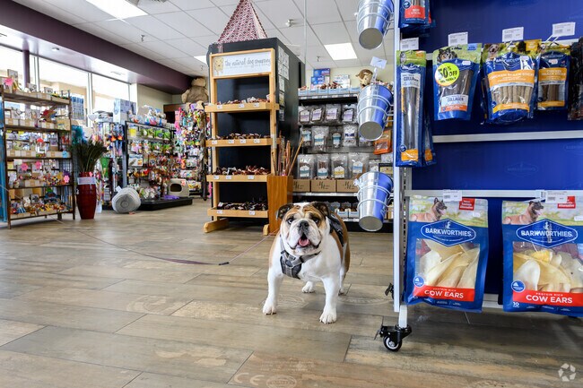 Dogs and Cats Rule is Maple Glen's go-to place for pet needs.