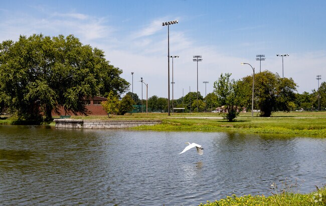 Fairground Park lake's ducks and birds call this place home.