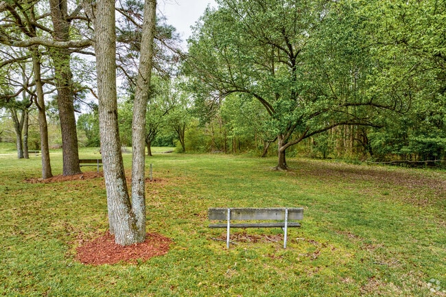 Bench in relaxing tree lined Fairfield Park in Fairfield neighborhood of Kempsville section of Virginia Beach