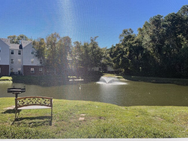 pond views!