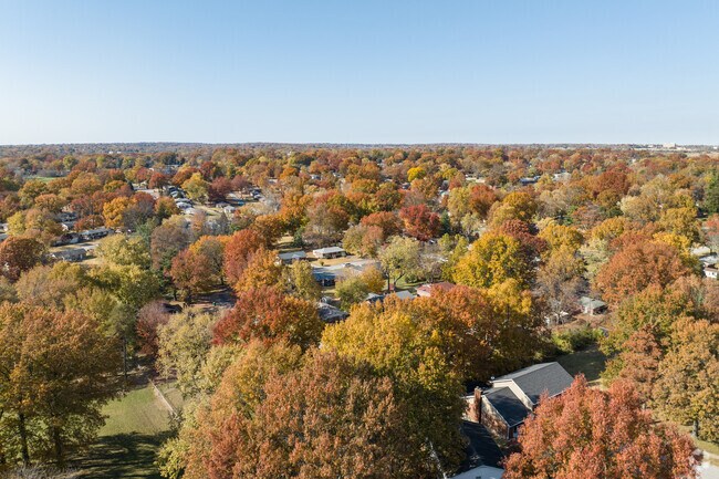 Most Bellefontaine streets are lined with large, shady trees.