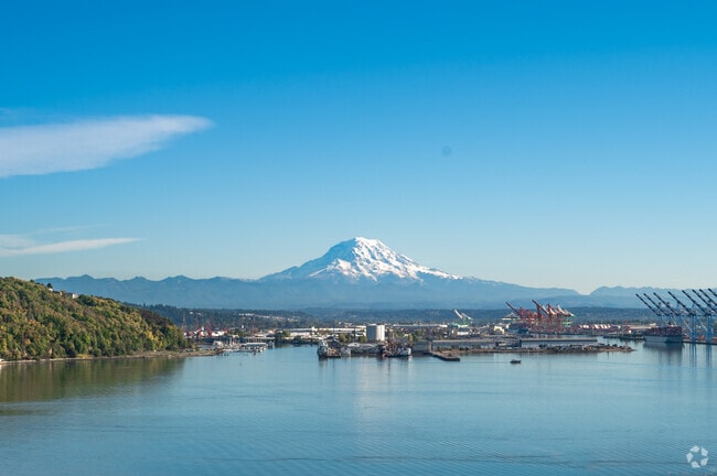 The views of Mt. Rainier are stunning from the Dash Point neighborhood.
