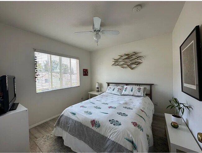 5552 Foxtail Loop unit Granny Flatt, Carlsbad, CA 92010 - photo 5