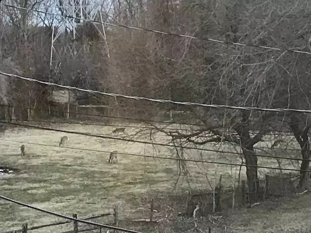 48 Buckwalter Rd, Spring City, PA 19475 - photo 7