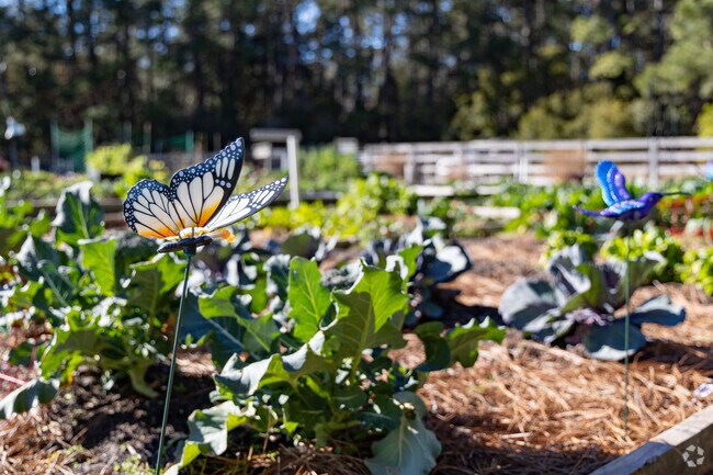 Skidaway Island residents take pride in their local garden.
