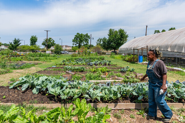East Capitol Urban Farm is a great place to pick fresh greens for Capitol View residents.