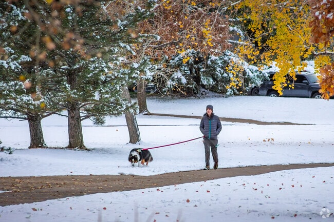 McIntosh Lake is a popular place for dog walking in Longmont.