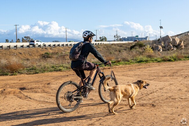 A dog and its owner explore the scenic trails of Paloma Valley, enjoying great outdoors together