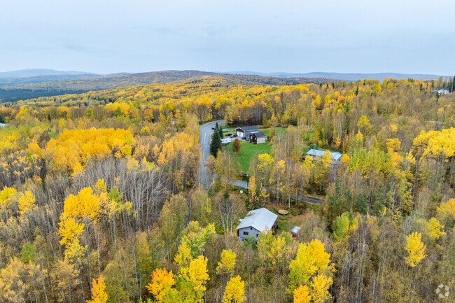 Most Steele Creek homes are hidden amongst the picturesque mature trees.