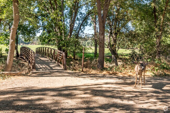 You might even see a deer or two at Ancil Hoffman Park in Carmichael Town Center.