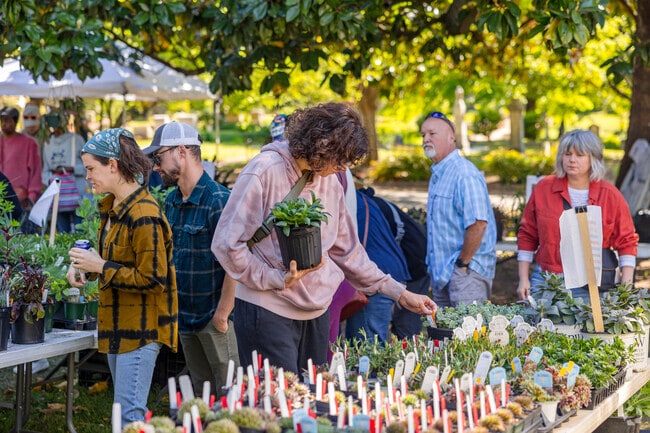Grab a new house or outdoor plant at the Oakland Cemetery's annual plant sale.