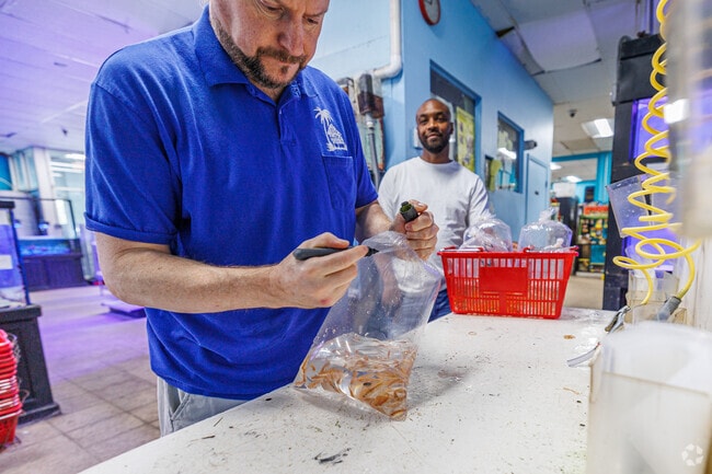House of Tropicals in Ferndale has all your fish and reptile needs.