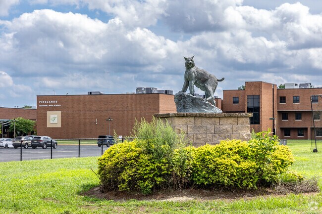 Pinelands Regional High School's mascot is the Wildcats.