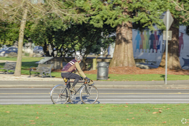 Downtown Olympia is very well known for getting around on bike.