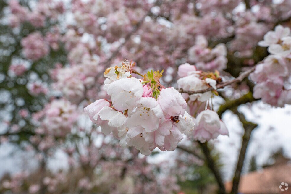 Vose_505557_ST_652025_FINAL