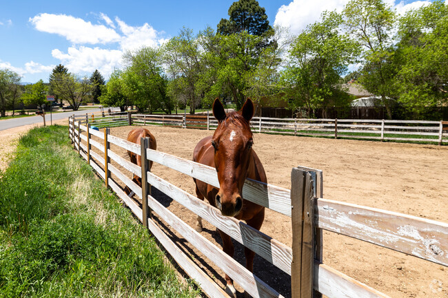 Don't be surprised if you see horses on some of the properties in Rustic Hills.