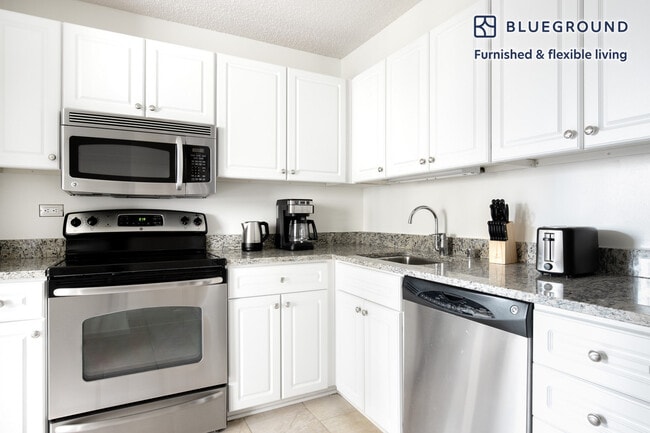 750 N Rush St unit FL16-ID270, Chicago, IL 60611 - photo 5