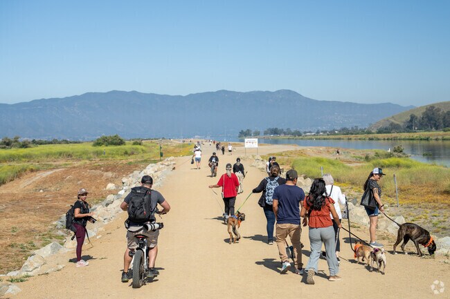 Meadowbrook residents can join the fun at Lake Elsinore's annual Pet Walk, a community event celebrating pets with a scenic stroll, perfect for families and animal lovers alike.