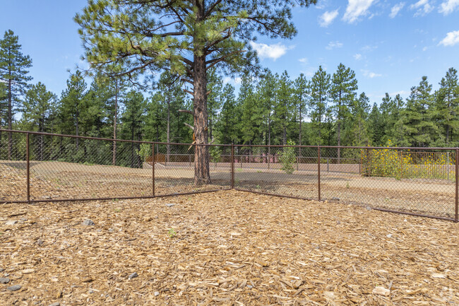 Dog Park