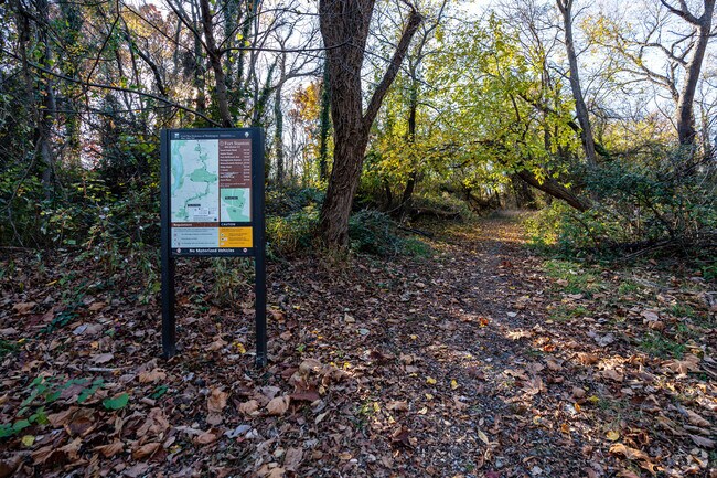 The trails are a nice escape from City life in the Woodland Neighborhood.