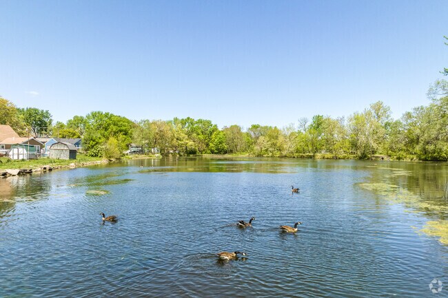 Crisp Lake is a natural feature in the Carlisle neighborhood and is seasonally home to geese.