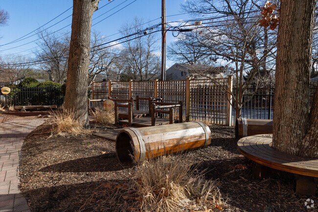 Play around the Centereach Librarys nature emporium.