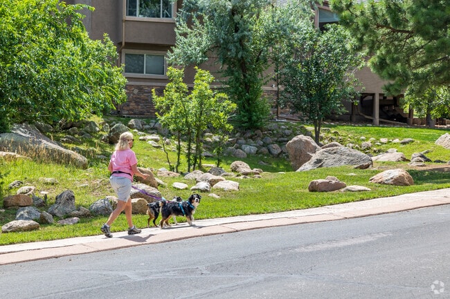 Paved sidewalks are great for walking dogs in Broadmoor Bluff.