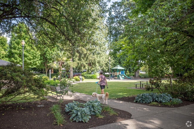 Rossman Park is a lush respite in the center of Evergreen.