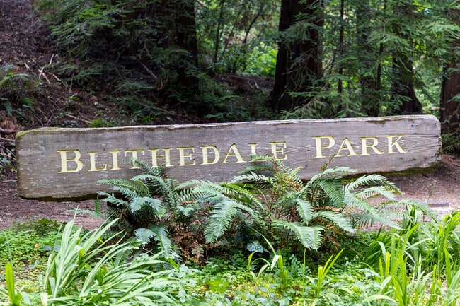 Another great trail in Blithedale Canyon is Blithedale Park.
