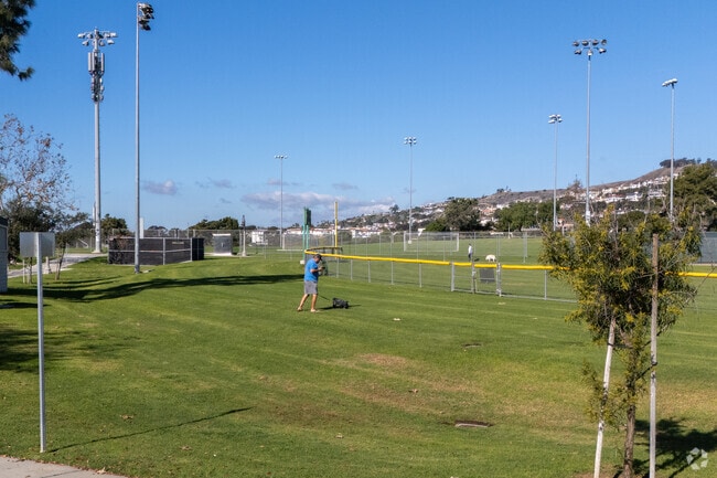 Coast District pet lovers enjoy San Gorgonio Park's open spaces.