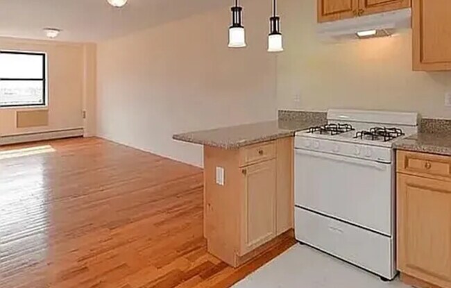 44 Hilton Ave unit D6, Hempstead, NY 11550 - photo 4