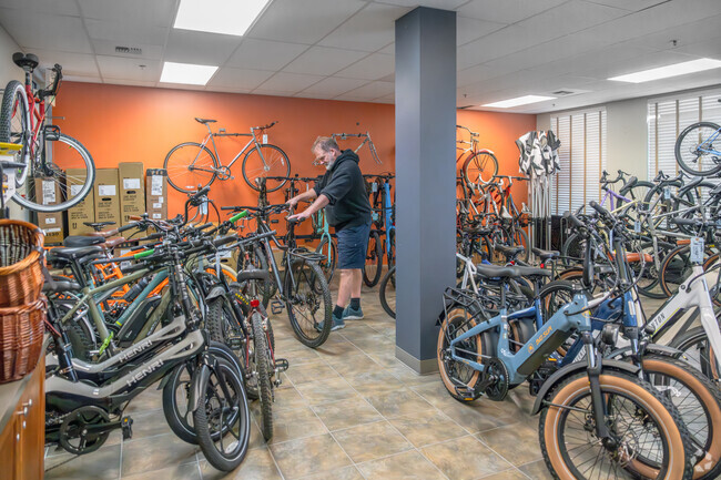 Birch Bay Bike Shop has an excellent selection of beach cruisers and more.