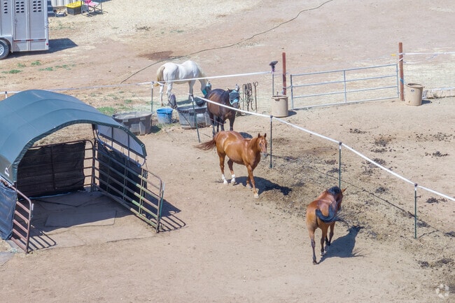 Several horse ranches dot the landscape in Butte Valley.