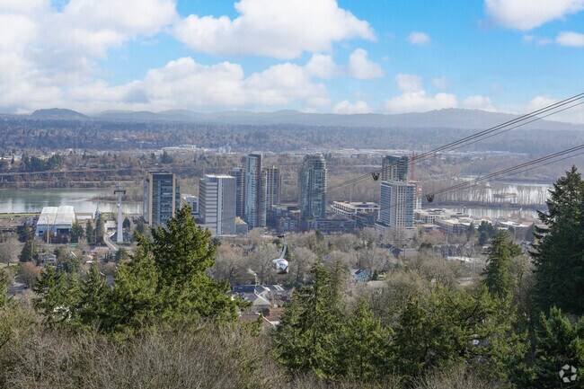 Take the OHSU Aerial Tram down to South Waterfront from Council Crest.