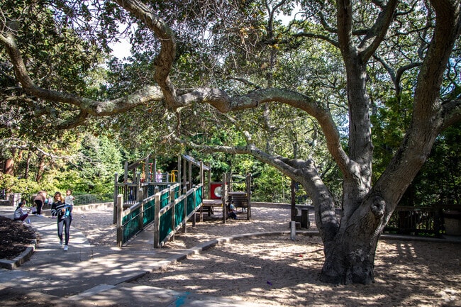 The children’s playground in Piedmont Park wraps around an ancient oak tree in Central Piedmont.
