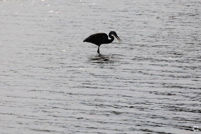 The nearby nature and beauty of the Hudson River are a big attraction to living in Esopus.