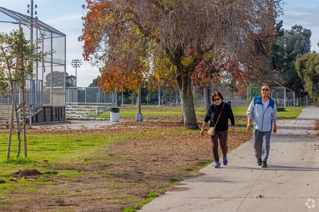 Walking amongst the autumn leaves at Victoria Park.