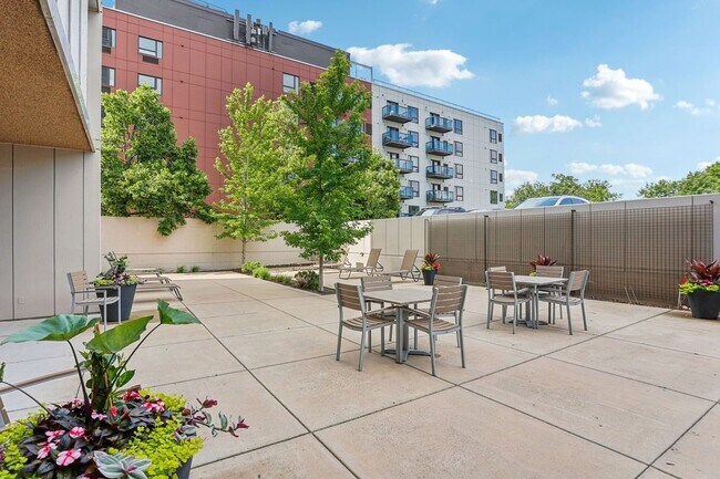 Thornton Place Apartments, Minneapolis, MN 55414 - photo 6
