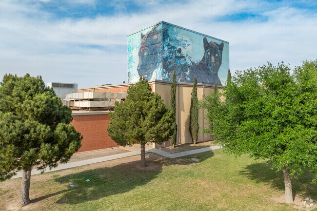 Panthers take pride in Fort Stockton High School.