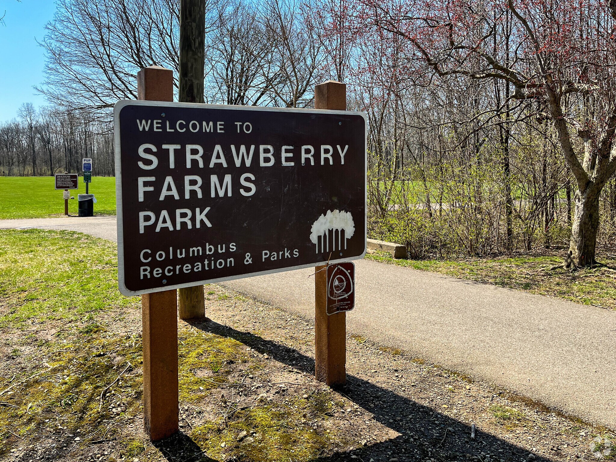 About Strawberry Farms Schools, Demographics, Things to Do