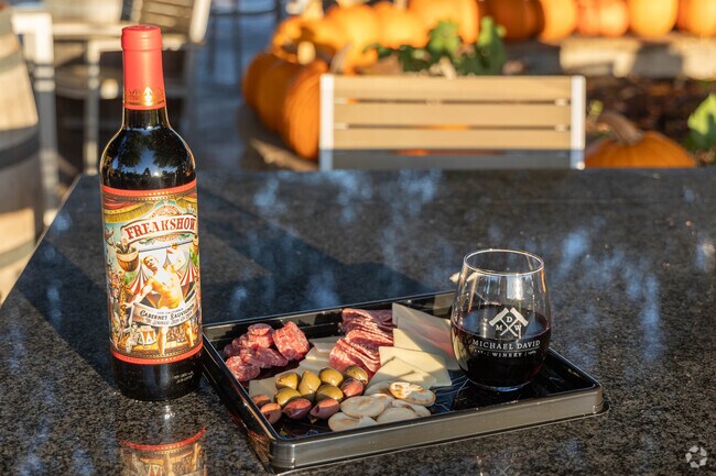 Residents of North Lodi and all of Lodi love having a bite and sip at Michael and David winery.