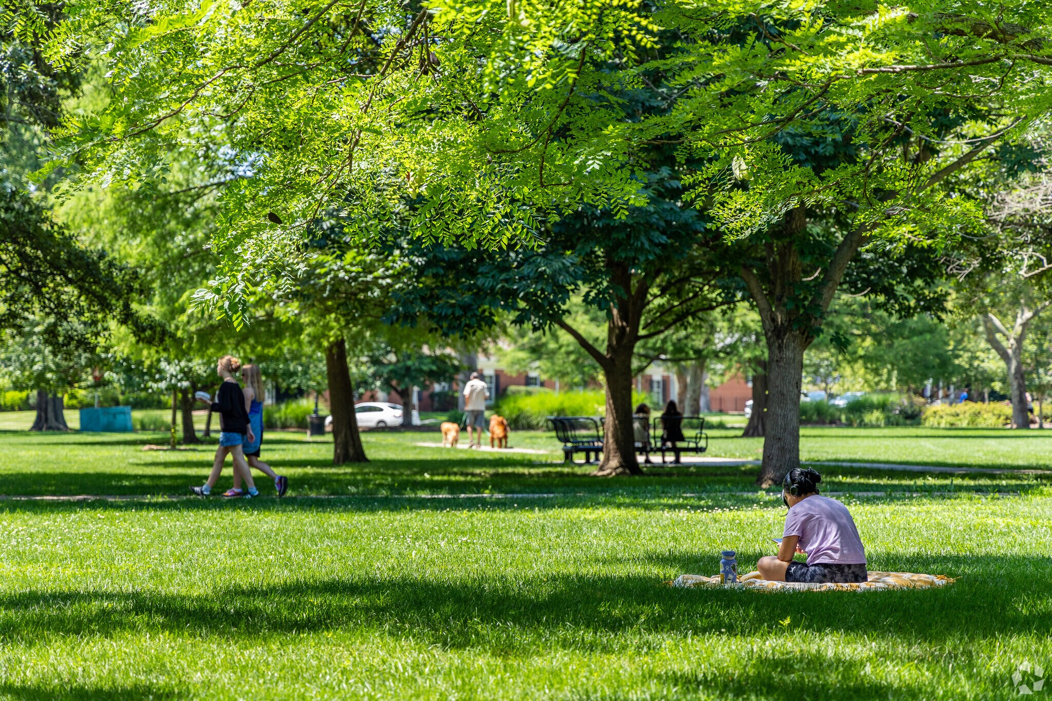 South Park has several cozy place to relax and read.