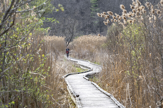 Take a hike on part of the Appalachian Trail from one of the many access points around Beekman.