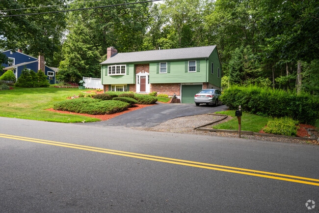Many smaller homes in Plaistow are painted bright, vibrant colors.