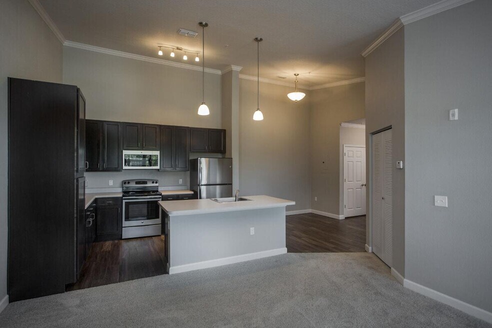 The Edge at Brandon 902 Delaney Cir, Brandon, FL