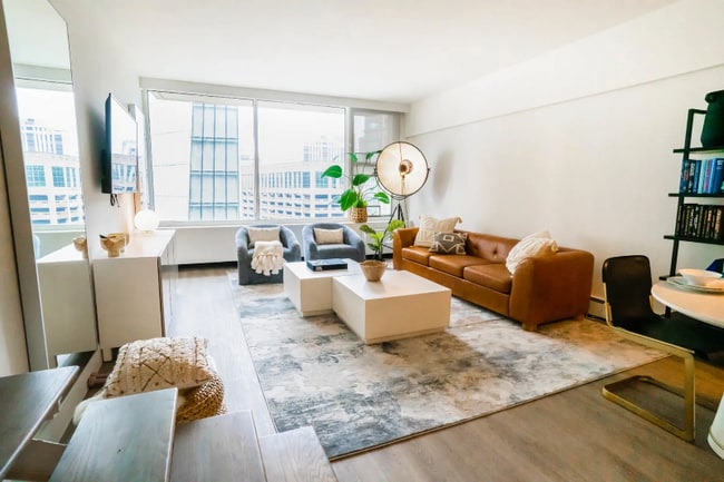 29 E Chestnut St, Chicago, IL 60611 - photo 3