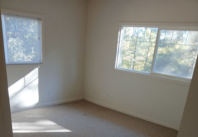 17501 Tannery Ln, Pine Grove, CA 95665 - photo 5