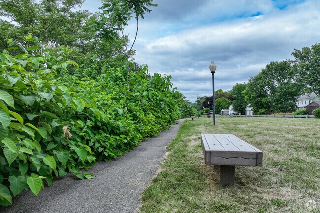 In Riverside Park there is plenty of benches for you to rest on.