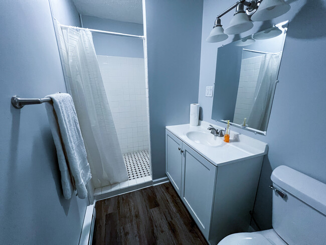 Downstairs Bathroom 1