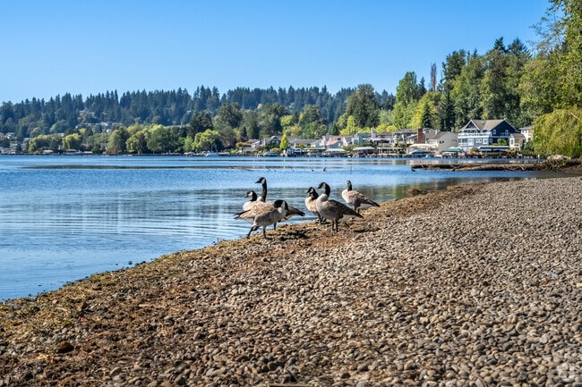 Log Boom Park has stunning views near Brookside.